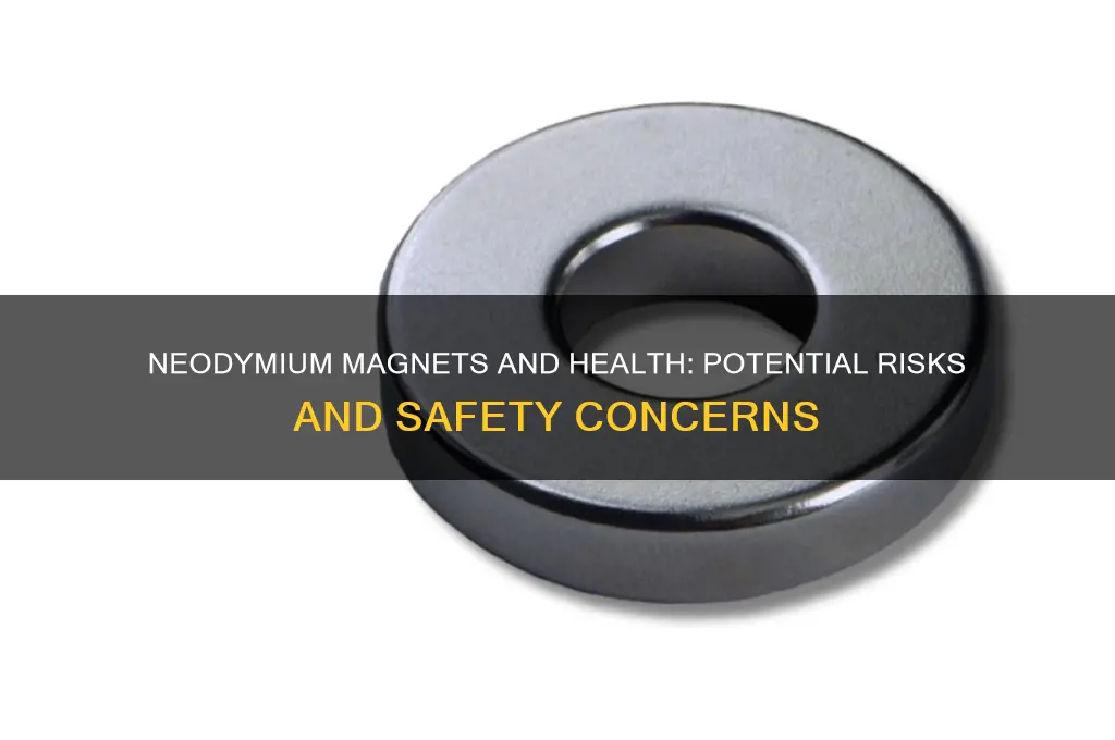 can neodymium magnets cause health problems