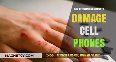 Neodymium Magnets and Cell Phones: Potential Damage Explained
