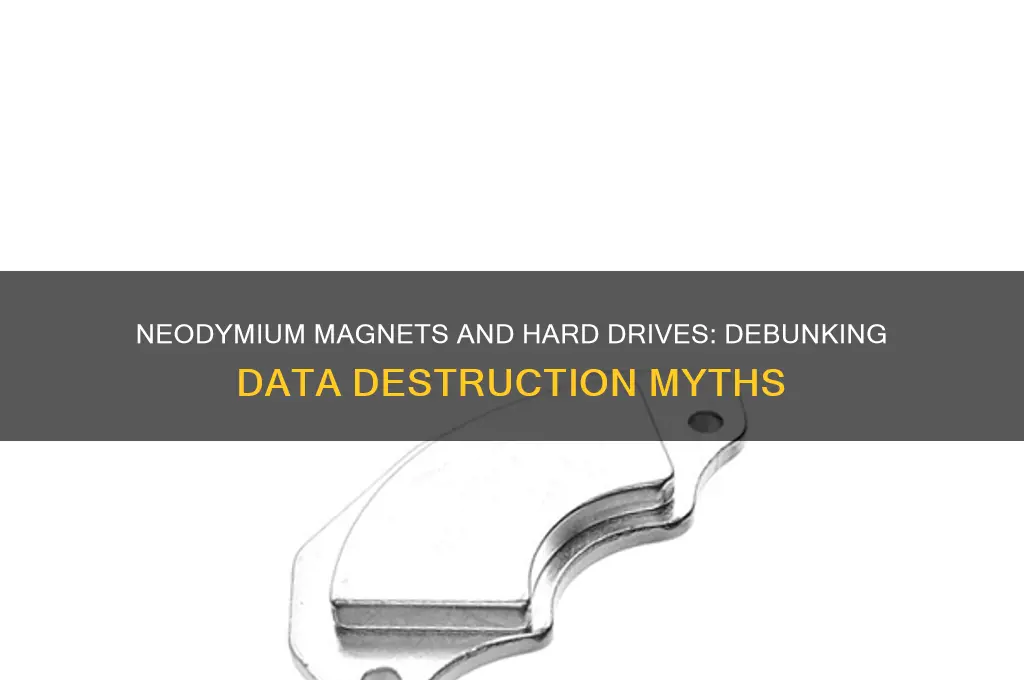 can neodymium magnets destroy hard drive