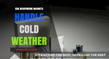 Neodymium Magnets in Cold Weather: Performance and Durability Explained