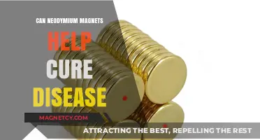 Neodymium Magnets and Disease: Exploring Potential Healing Applications