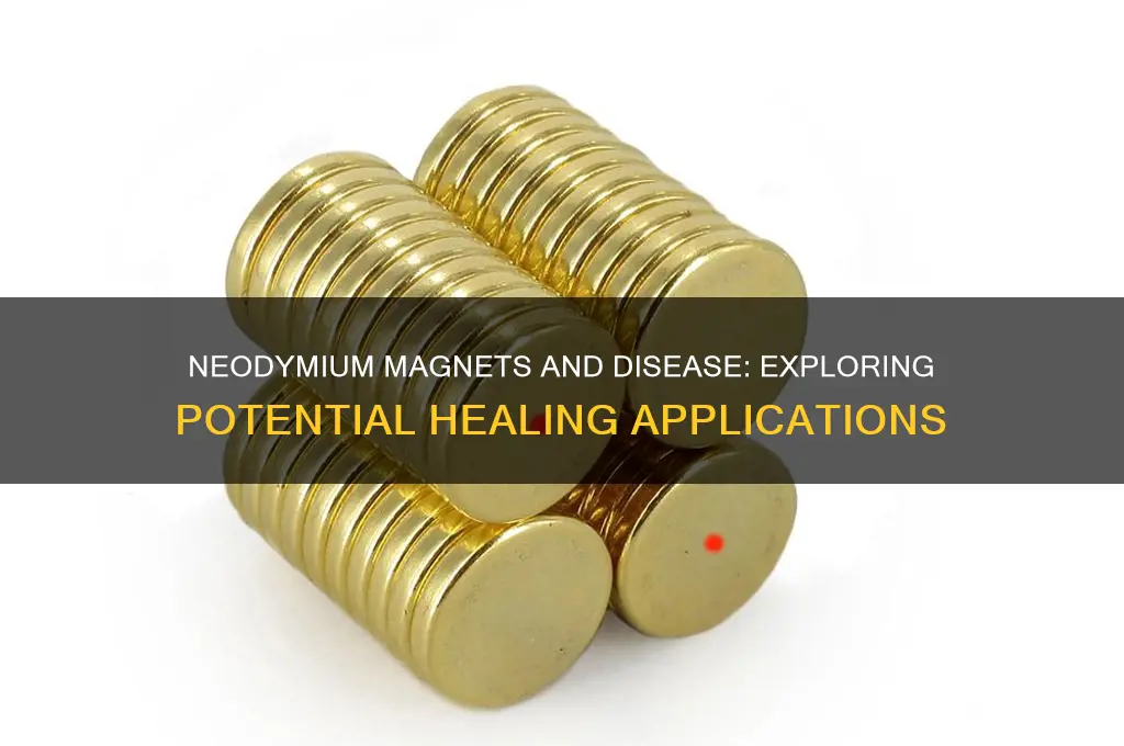 can neodymium magnets help cure disease