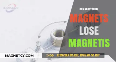 Can Neodymium Magnets Lose Magnetism? Factors and Prevention Tips