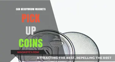 Neodymium Magnets: Can They Attract and Pick Up Coins?