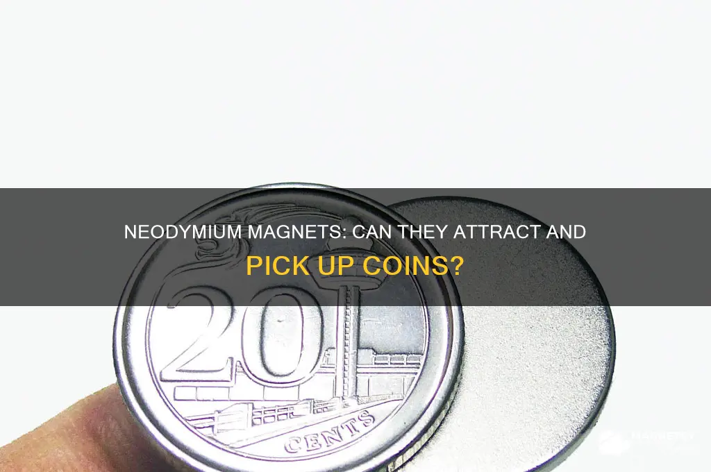 can neodymium magnets pick up coins