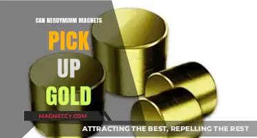Can Neodymium Magnets Attract Gold? Unveiling the Magnetic Truth