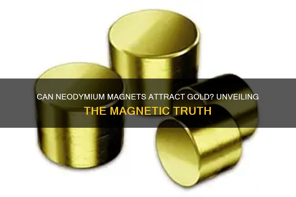 can neodymium magnets pick up gold