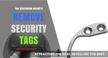 Can Neodymium Magnets Remove Security Tags? Exploring the Myth and Facts