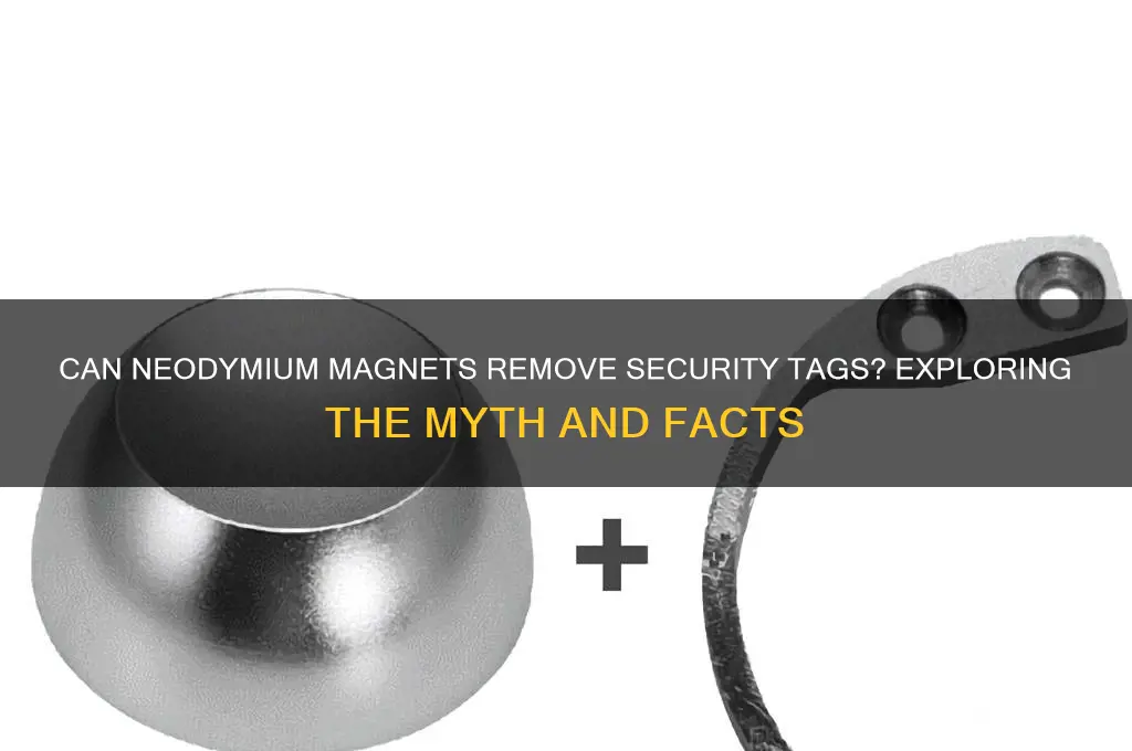 can neodymium magnets remove security tags