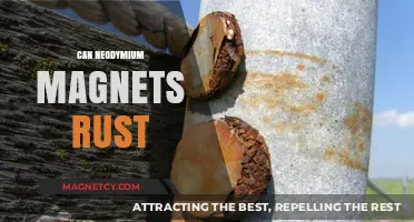 Neodymium Magnets and Rust: Understanding Corrosion Resistance and Prevention