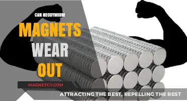 Do Neodymium Magnets Lose Strength Over Time? Find Out Here