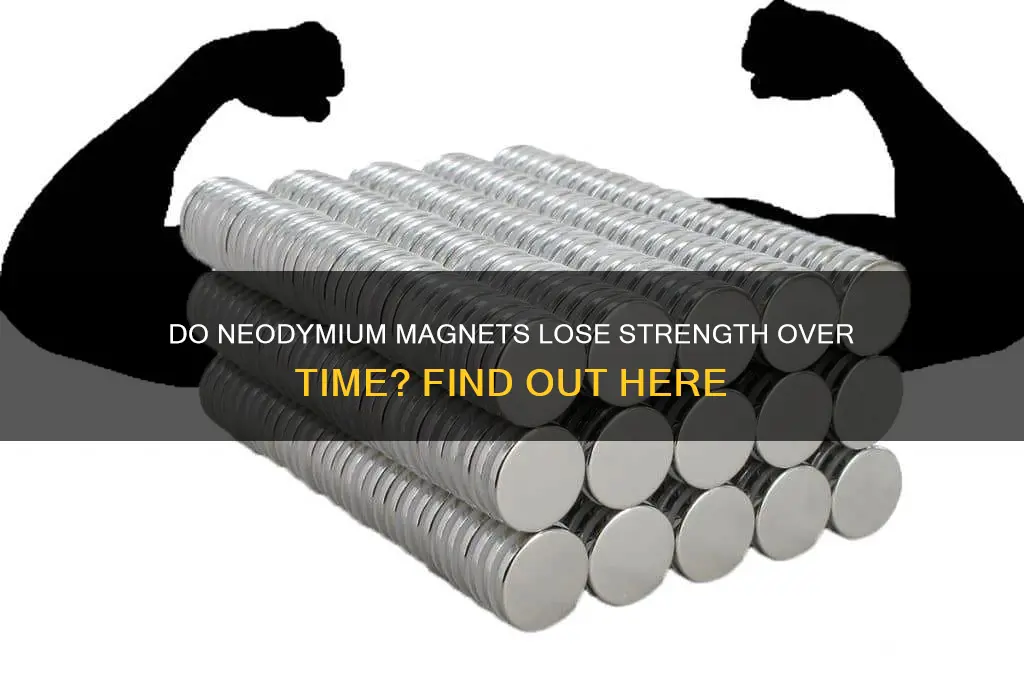 can neodymium magnets wear out