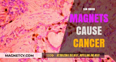 Nikon Magnets and Cancer: Unraveling the Health Concerns and Facts