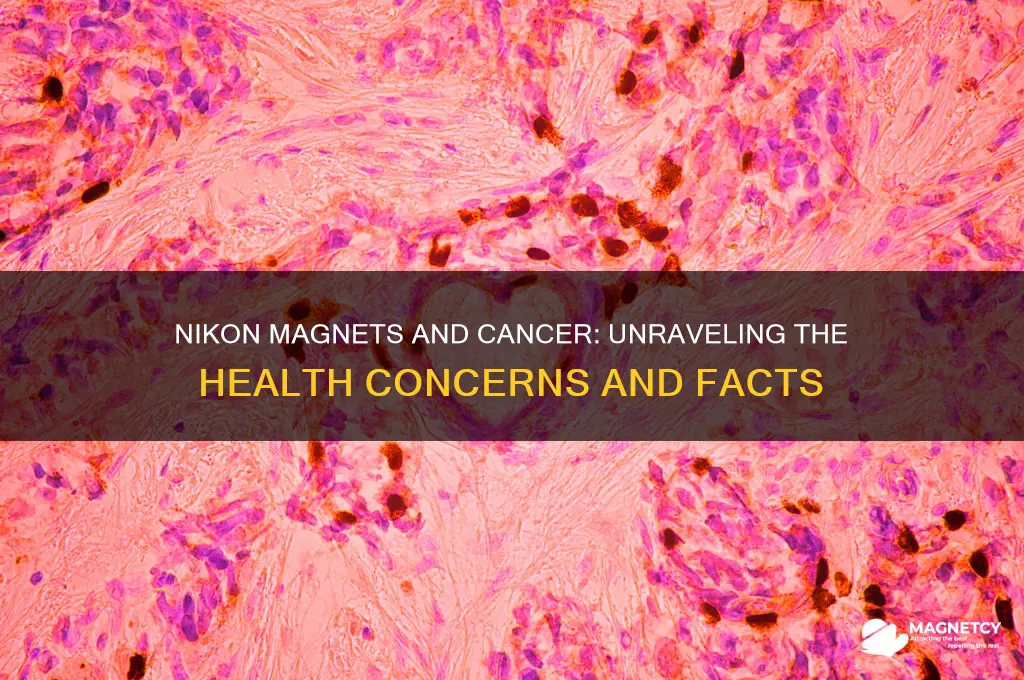 can nikon magnets cause cancer