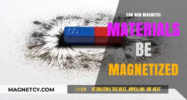 Can Non-Magnetic Materials Be Magnetized? Exploring the Science Behind It
