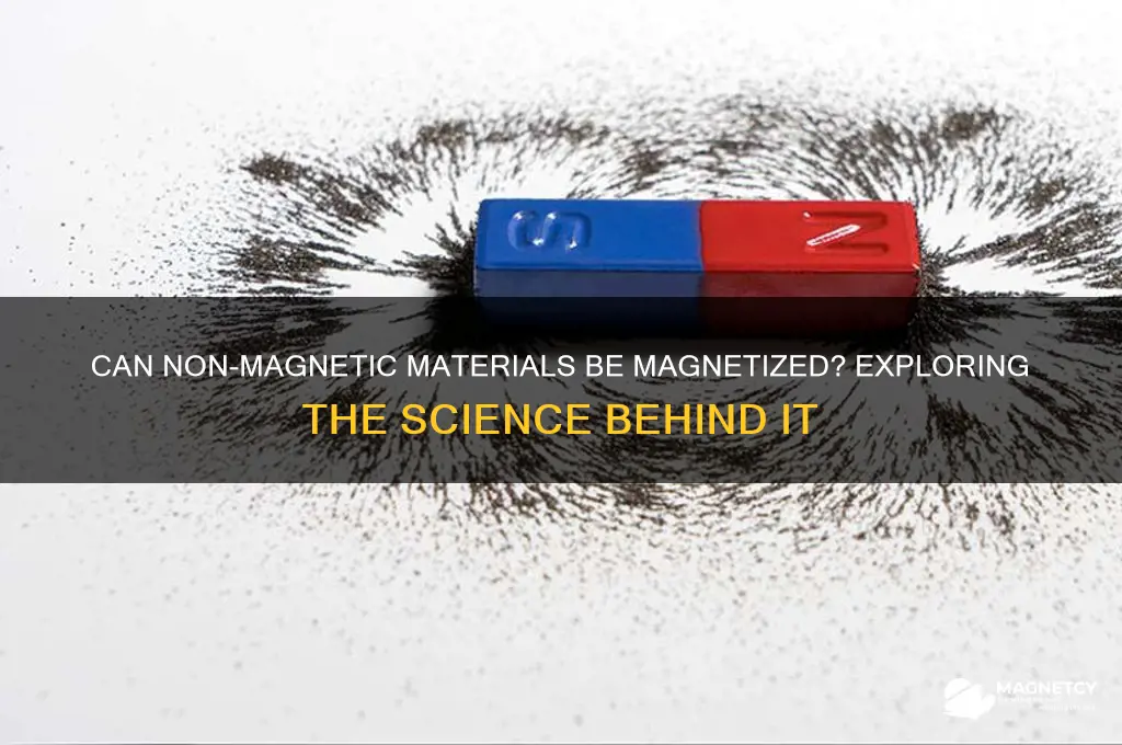 can non magnetic materials be magnetized