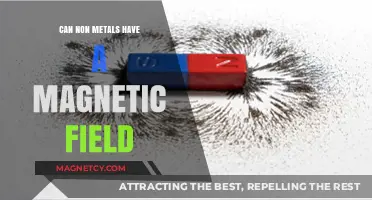 Exploring Magnetic Fields: Can Non-Metals Exhibit Magnetic Properties?