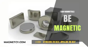 Exploring Magnetism: Can Nonmetals Exhibit Magnetic Properties?