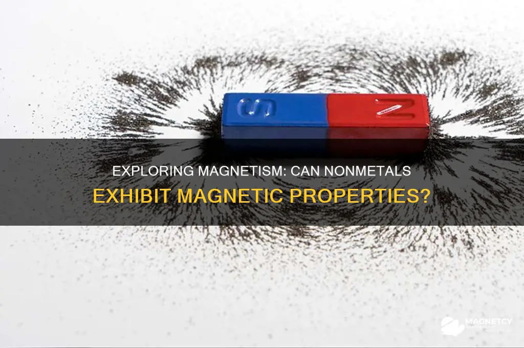 can nonmetals be magnetic