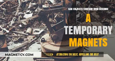 Can Iron-Containing Objects Turn into Temporary Magnets?