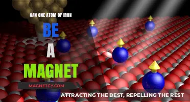 Can a Single Iron Atom Act as a Magnet?