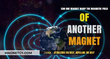 Can Magnets Warp Each Other's Magnetic Fields? Exploring Interactions