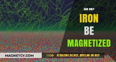 Beyond Iron: Exploring Which Metals Can Be Magnetized