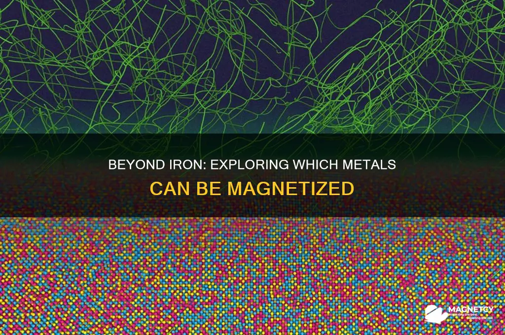 can only iron be magnetized