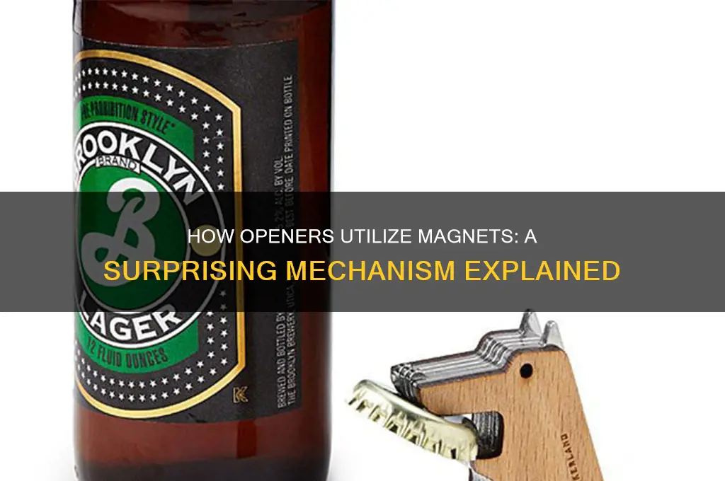 can openeer uses magnets