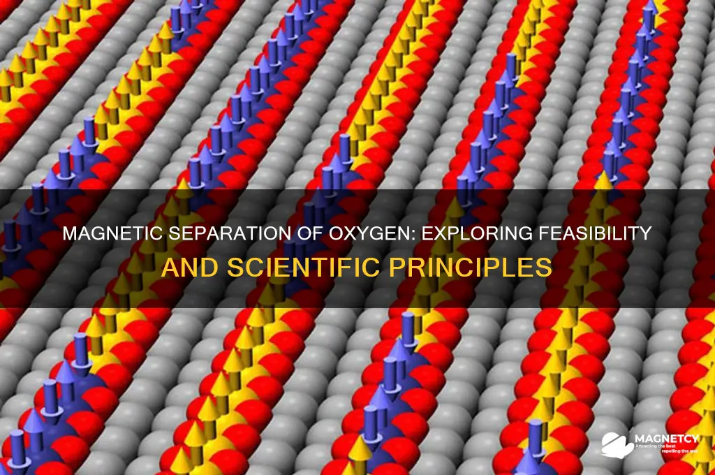 can oxygen be separated from other gasses by magnetism