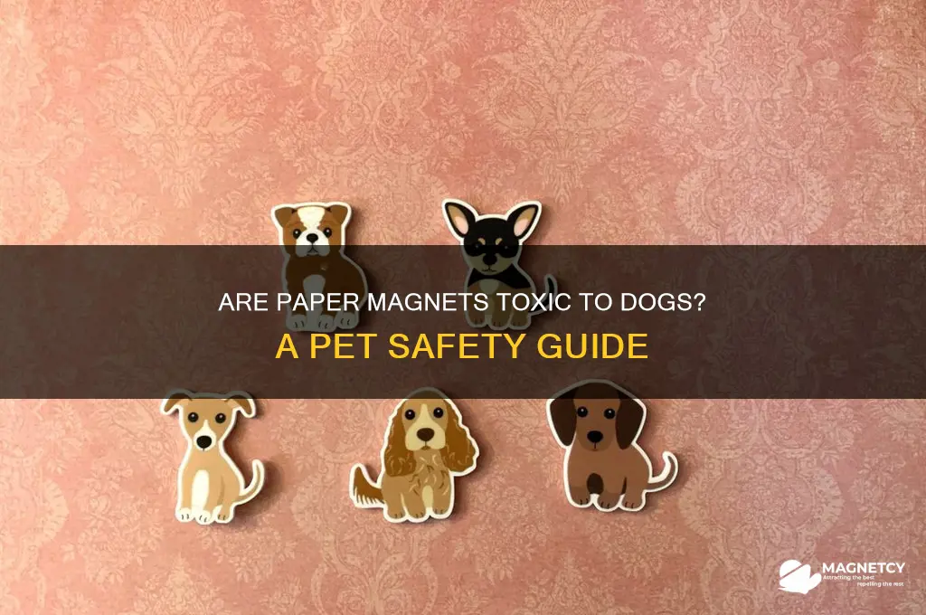 can paper magnets be toxic to dogs