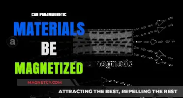 Can Paramagnetic Materials Be Magnetized? Exploring Magnetic Properties