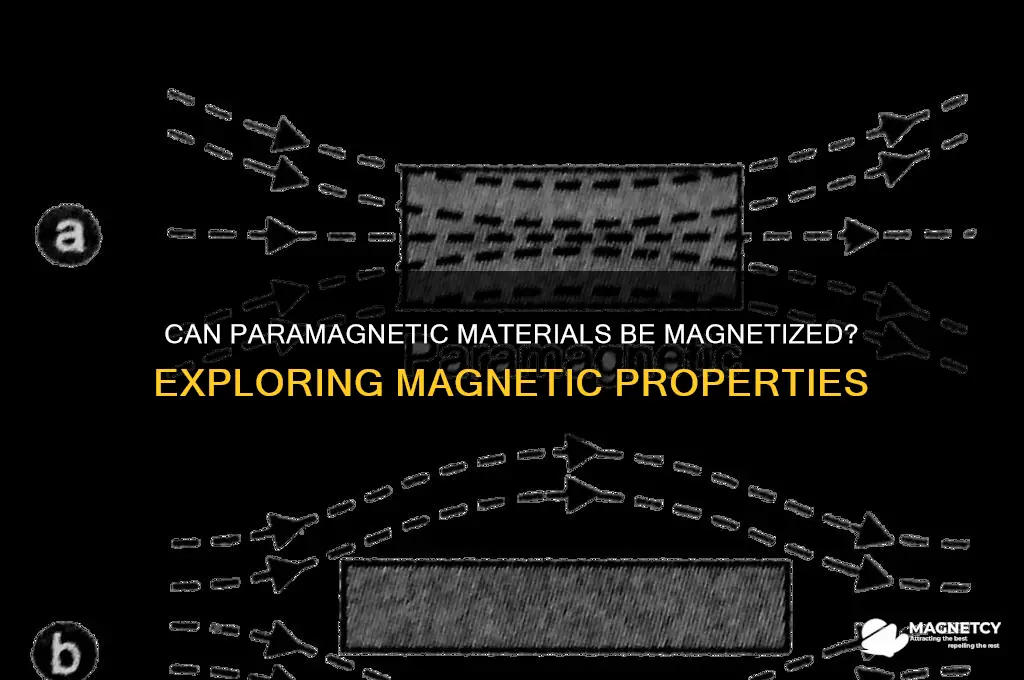 can paramagnetic materials be magnetized