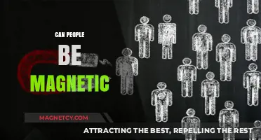 Can Humans Be Magnetic? Exploring the Science Behind Personal Magnetism