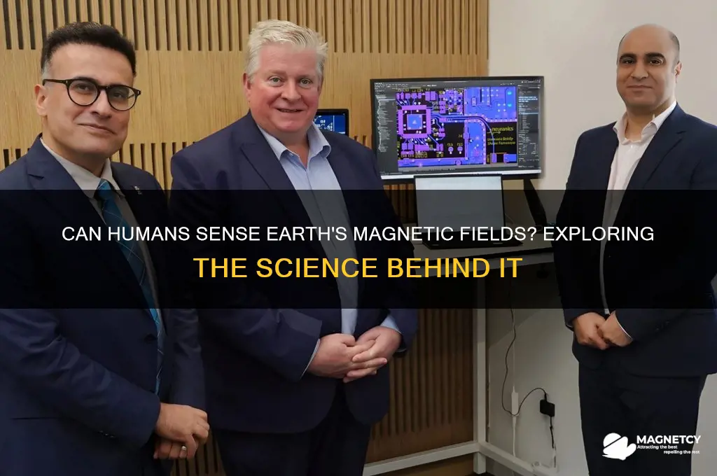 can people detect magnetic geilds