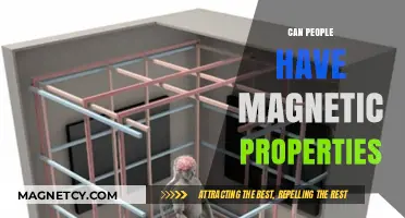 Exploring the Science: Can Humans Exhibit Magnetic Properties?