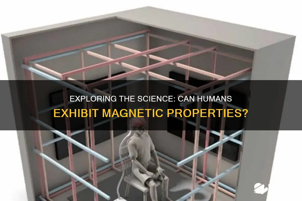 can people have magnetic properties