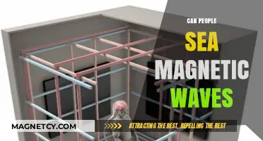 Can Humans Perceive Magnetic Waves? Unveiling the Science Behind It