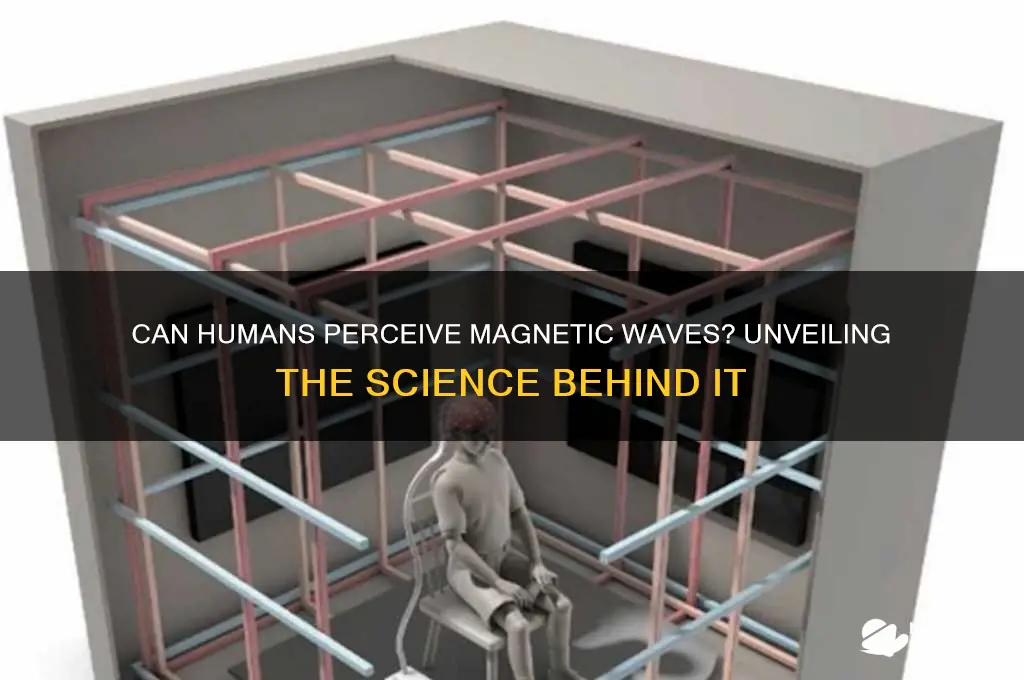 can people sea magnetic waves