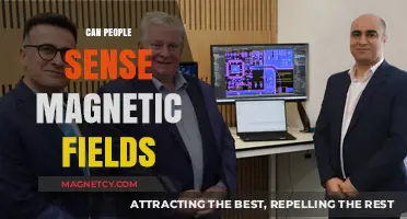 Can Humans Detect Earth's Magnetic Fields? Exploring the Science Behind It