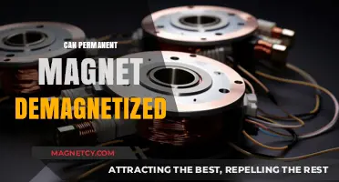 Can Permanent Magnets Lose Their Magnetism? Exploring Demagnetization Factors