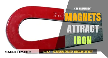 Do Permanent Magnets Attract Iron? Exploring Magnetic Properties and Interactions