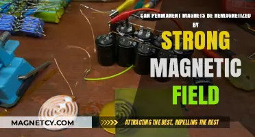 Reviving Permanent Magnets: Can Strong Magnetic Fields Restore Their Power?