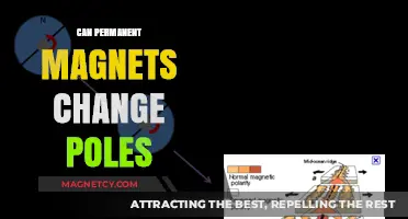 Can Permanent Magnets Reverse Polarity? Exploring Magnetic Pole Changes
