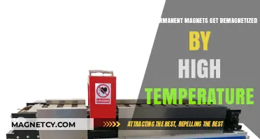 High Temperatures: Can They Demagnetize Permanent Magnets?