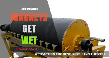 Can Permanent Magnets Get Wet? Exploring Water Resistance and Durability