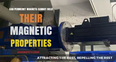 Do Permanent Magnets Lose Their Magnetic Strength Over Time?