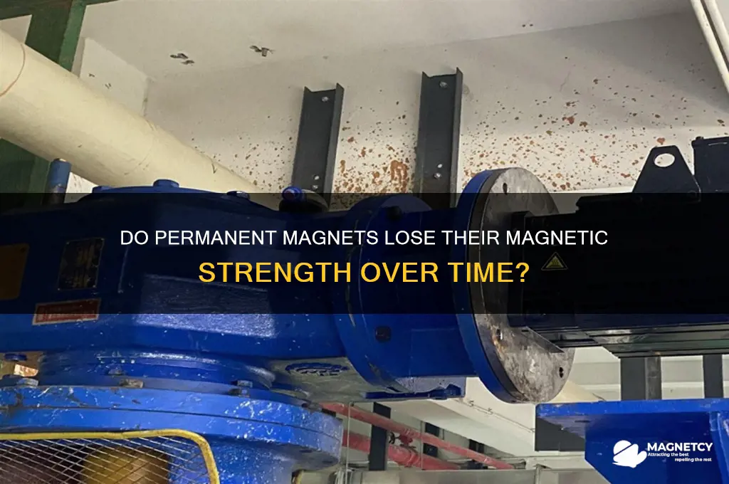 can permenet magnets cannot hold their magnetic properties