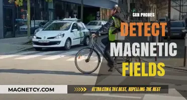 Can Smartphones Detect Magnetic Fields? Exploring Hidden Sensor Capabilities