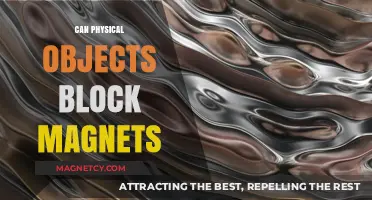 Can Physical Objects Block Magnets? Exploring Magnetic Field Interactions